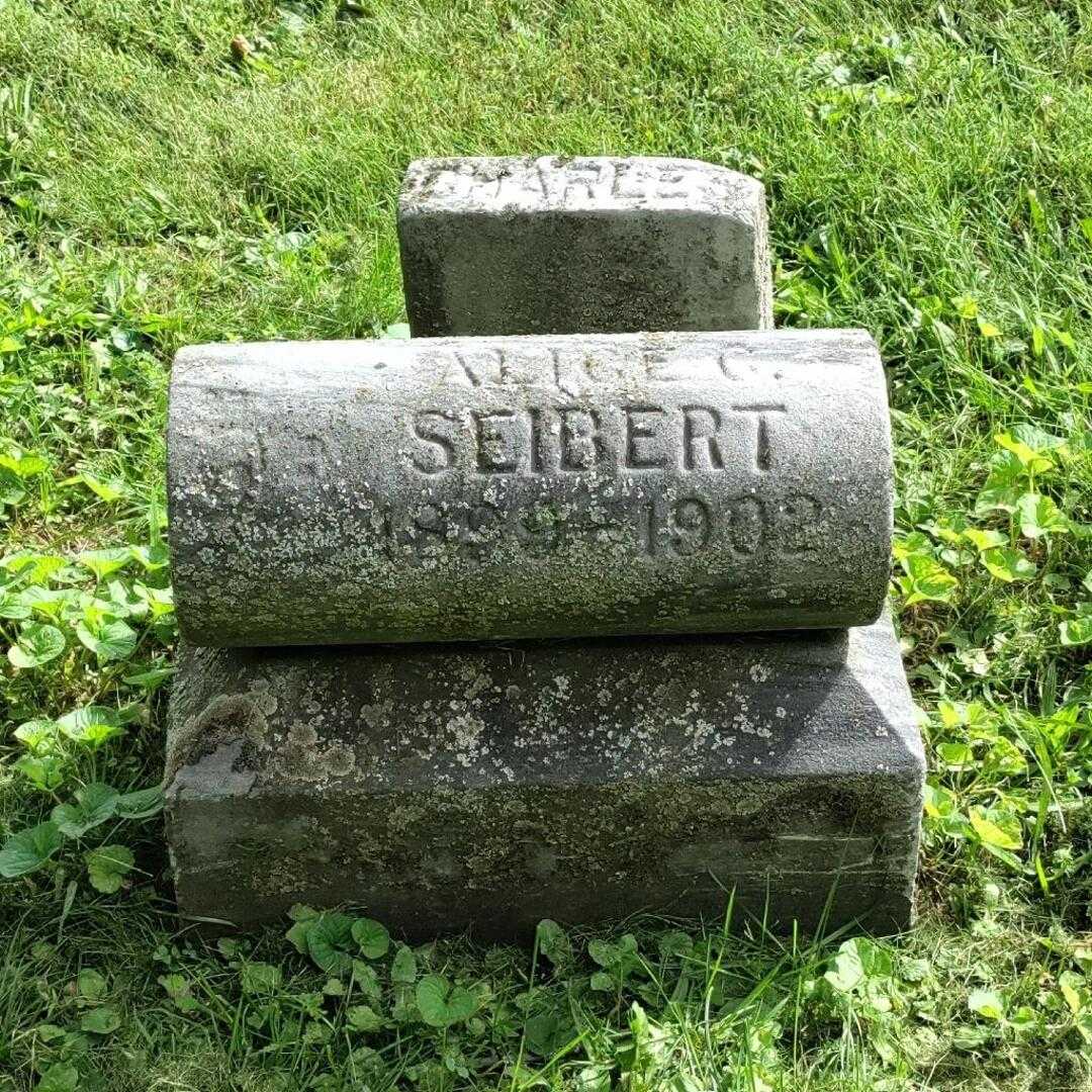 Alice C. Seibert's grave. Photo 3