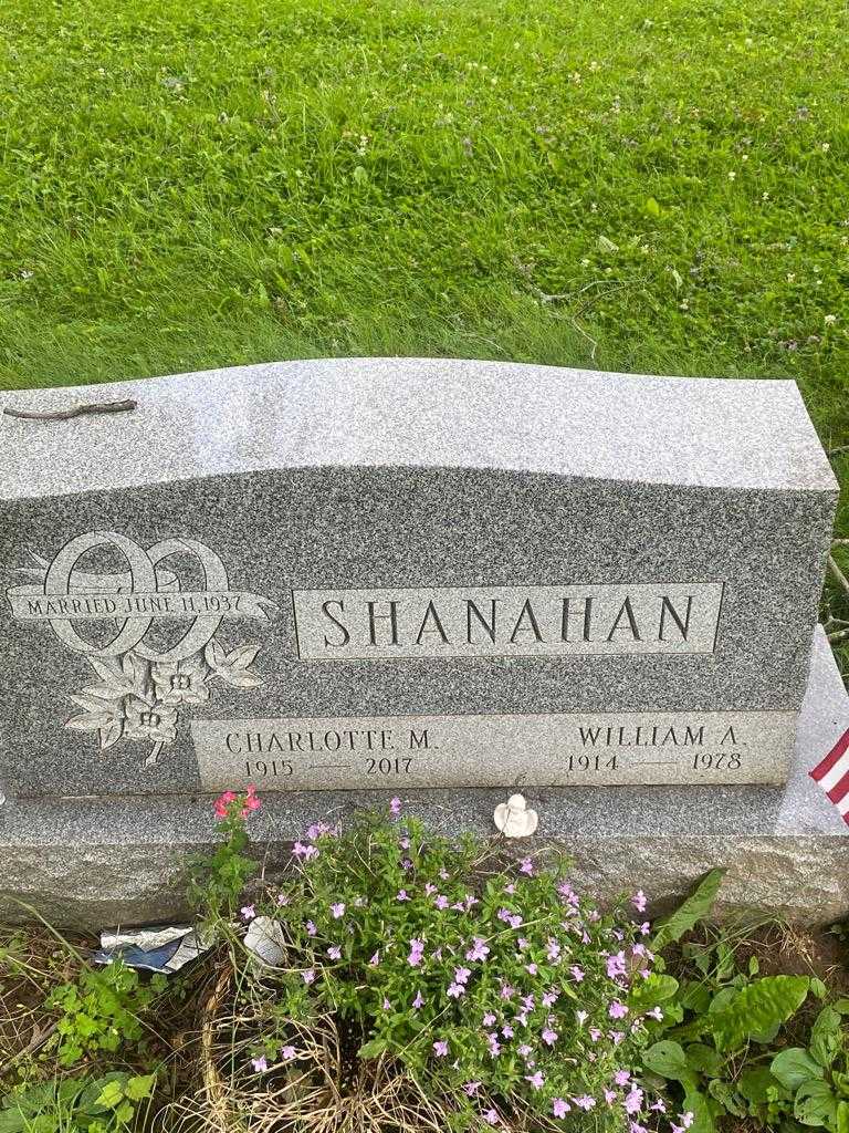 William A. Shanahan's grave. Photo 4