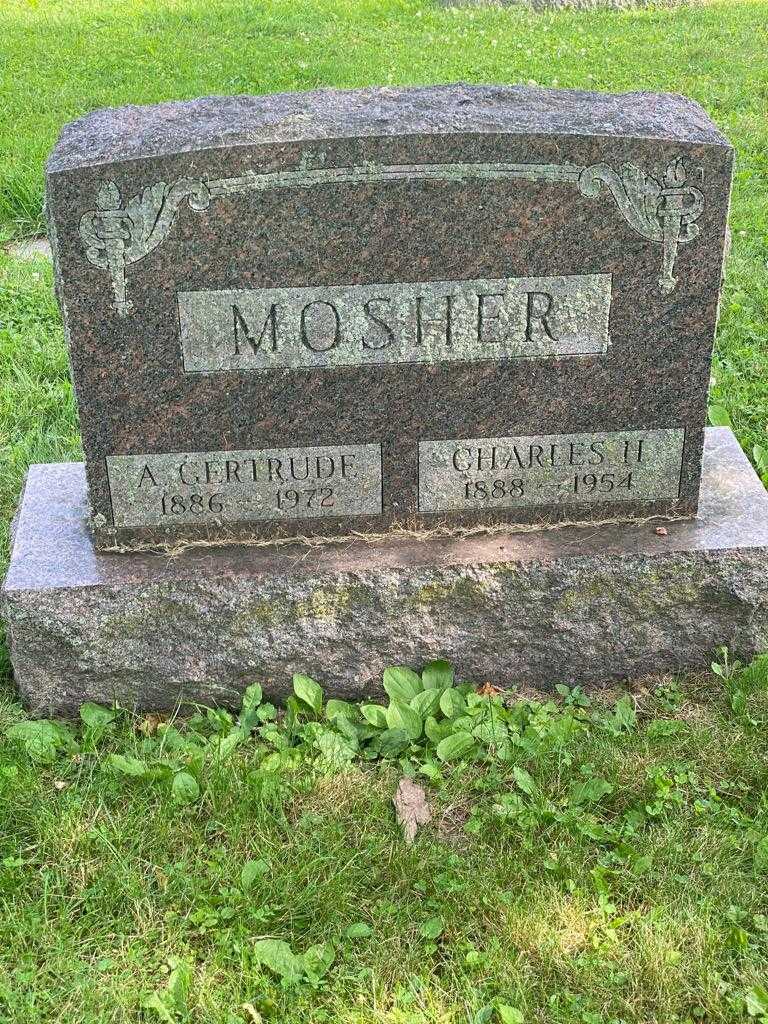 Charles H. Mosher's grave. Photo 3