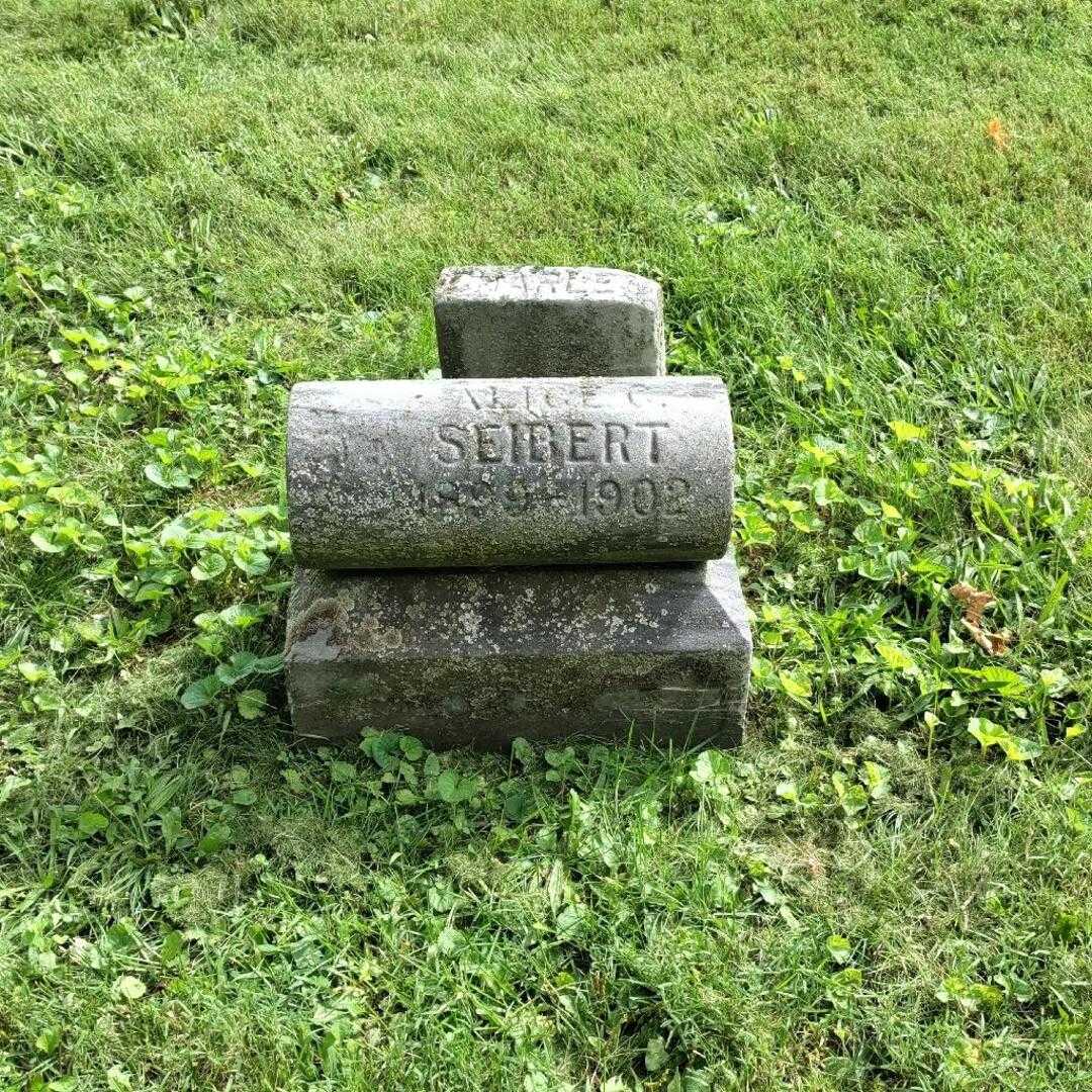 Alice C. Seibert's grave. Photo 2