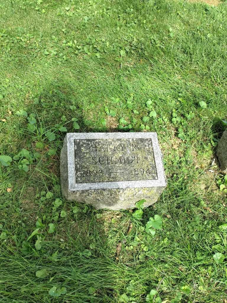 Harry Rutherford Schmidt's grave. Photo 2