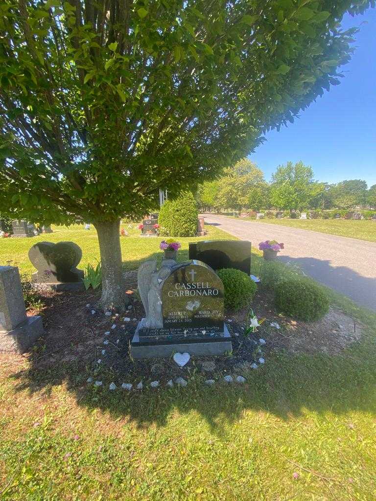 Albert P. Cassell's grave. Photo 2