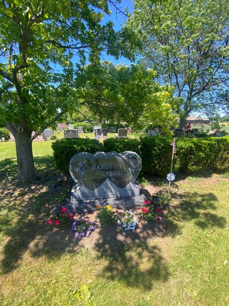 Stan Bargy Labulis's grave. Photo 2