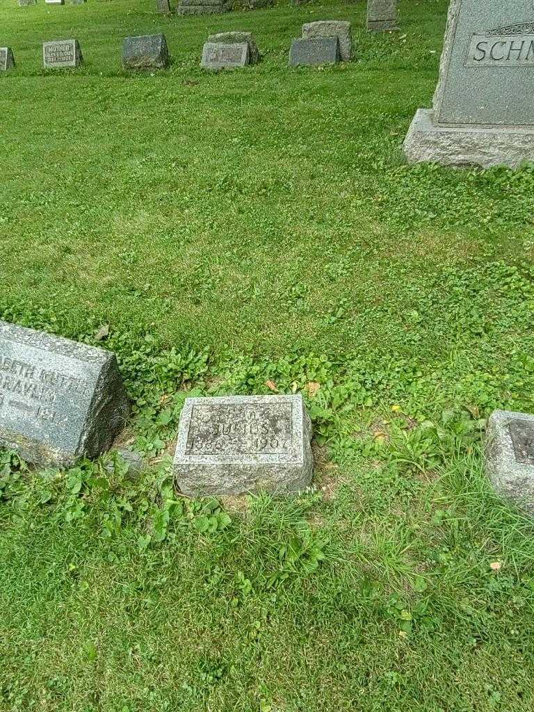 Julios Schmidt's grave. Photo 1