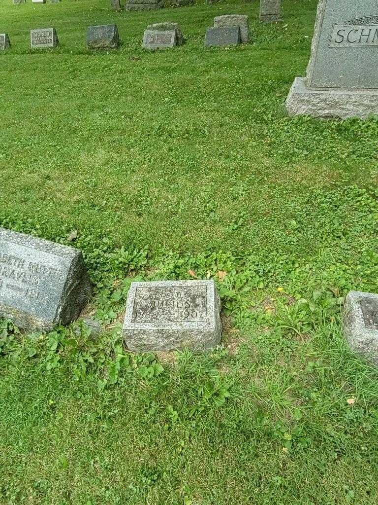 Julios Schmidt's grave. Photo 1