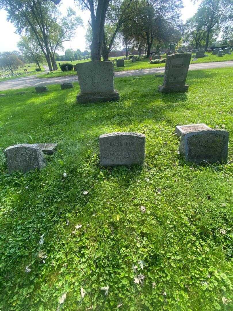 Carl Eckstein's grave. Photo 2