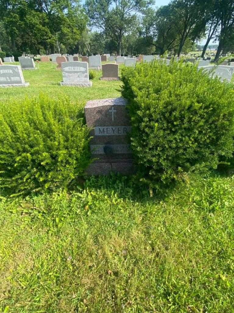 Howard Meyer's grave. Photo 4