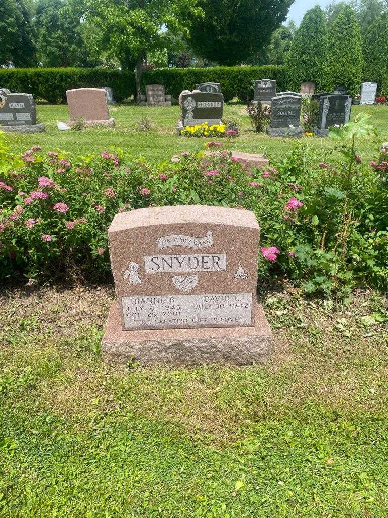 Dianne B. Snyder's grave. Photo 2