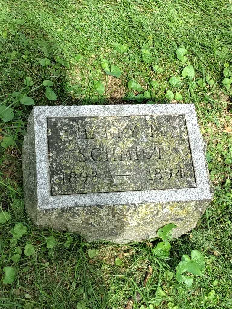 Harry Rutherford Schmidt's grave. Photo 3