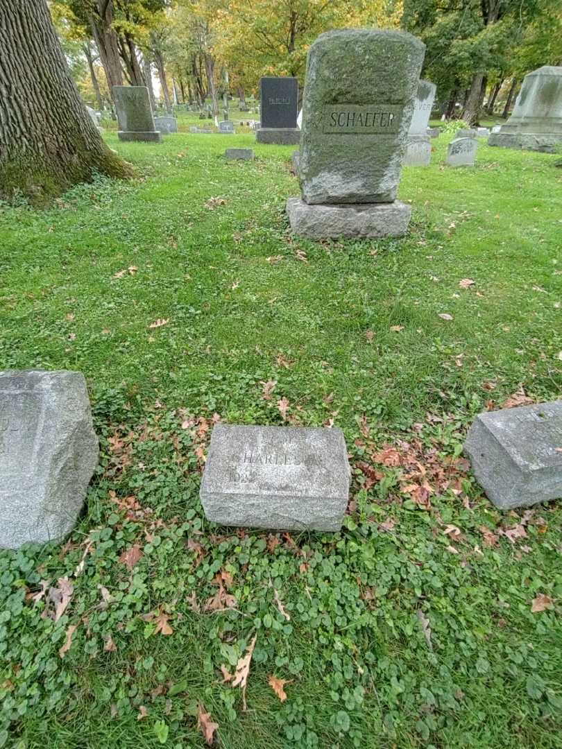 Charles A. Schaefer's grave. Photo 1