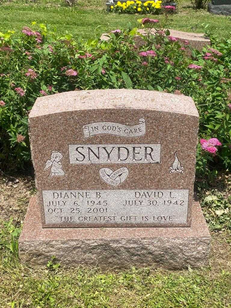 Dianne B. Snyder's grave. Photo 3