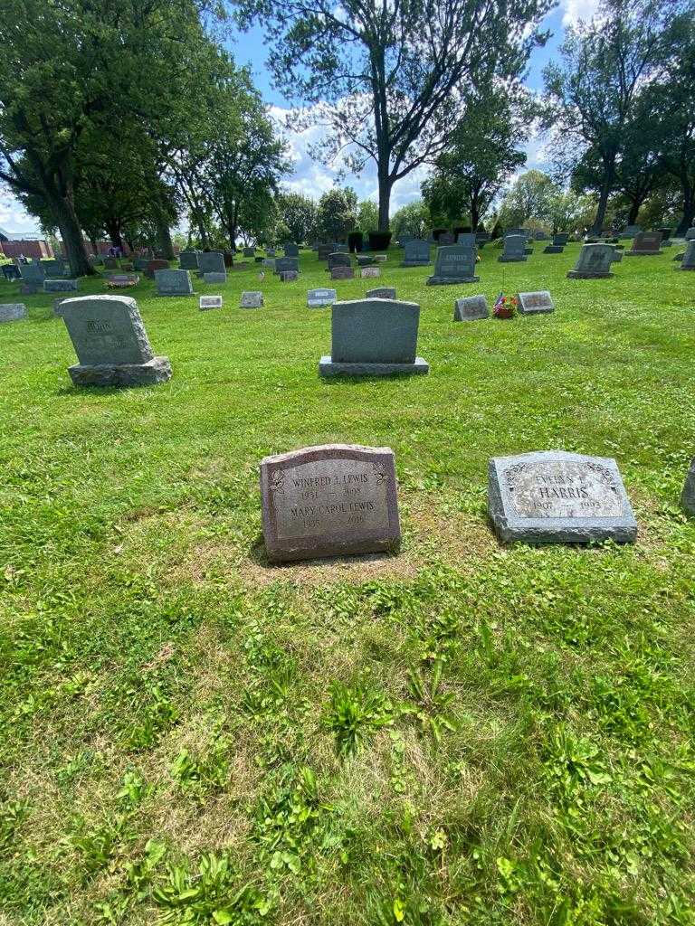 Winfred J. Lewis's grave. Photo 1