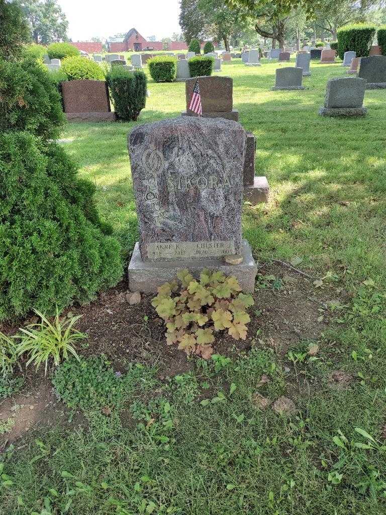 Anne N. Sikora's grave. Photo 1