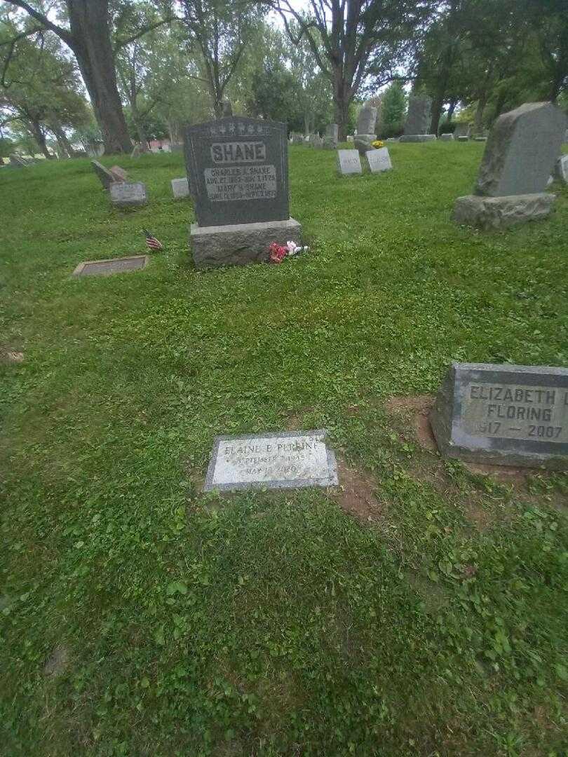 Elaine E. Perrine's grave. Photo 4