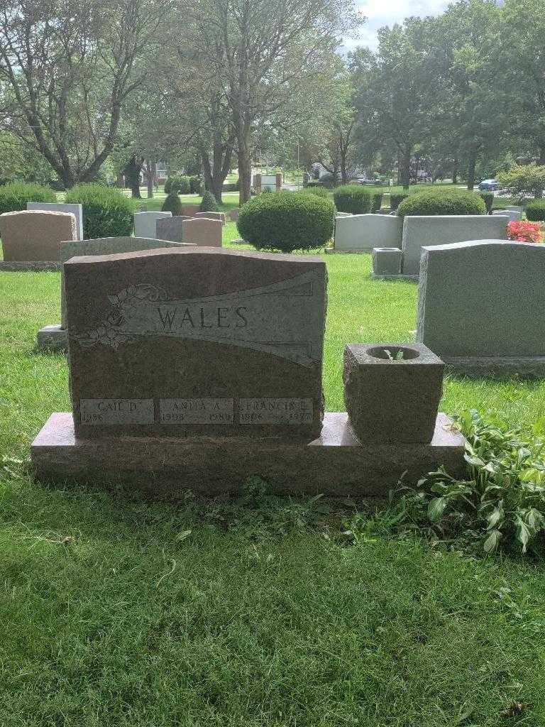 Francis L. Wales's grave. Photo 3