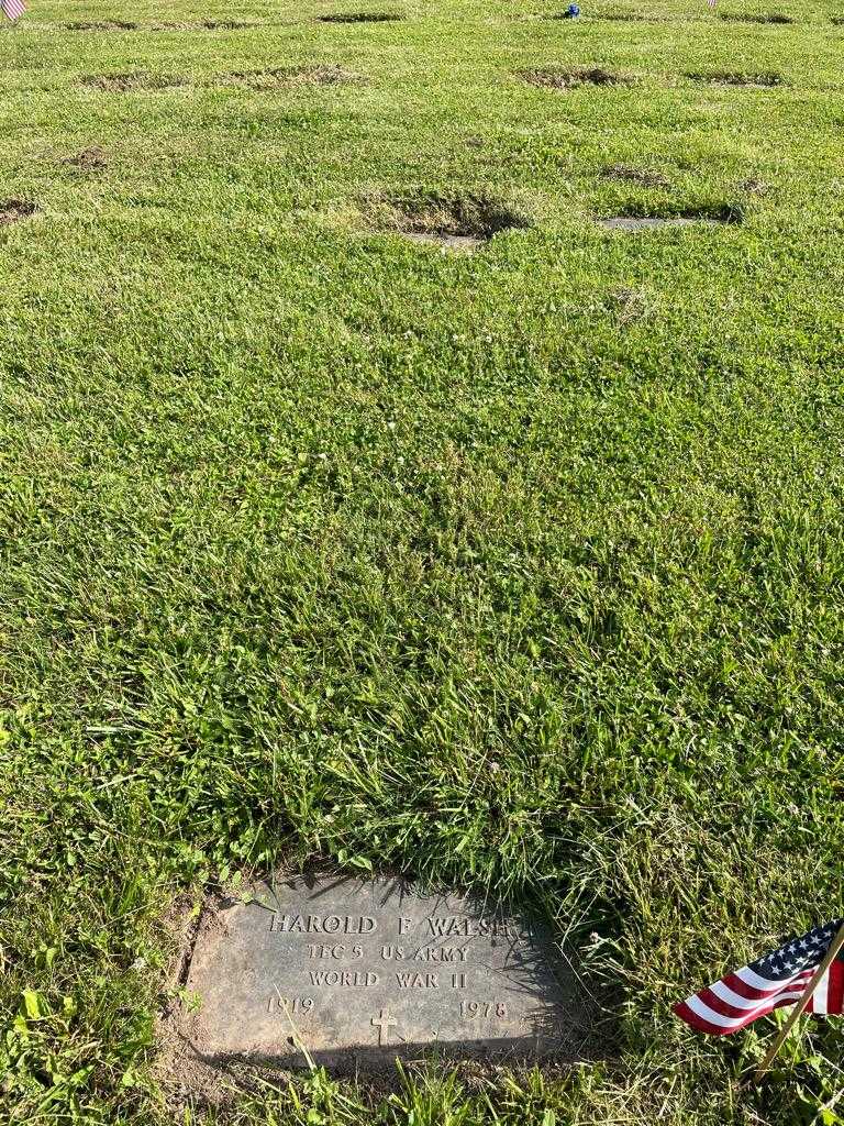 Harold F. Walsh's grave. Photo 2