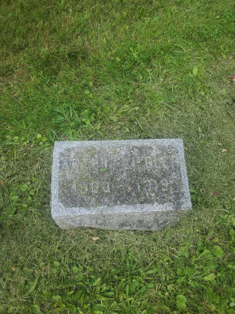 Arthur G. Ziegler's grave. Photo 2