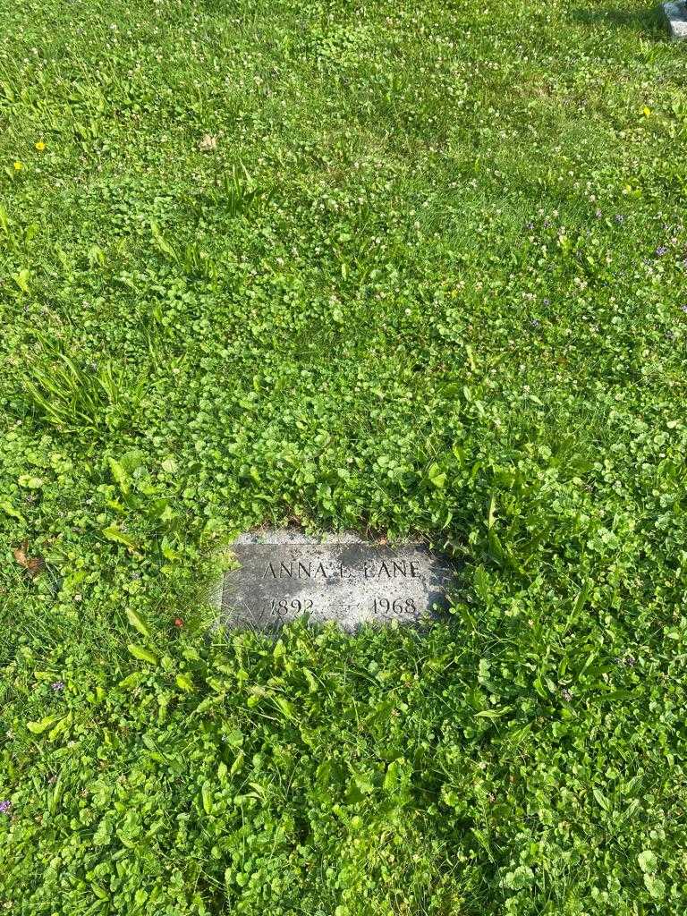 Anna L. Lane's grave. Photo 2