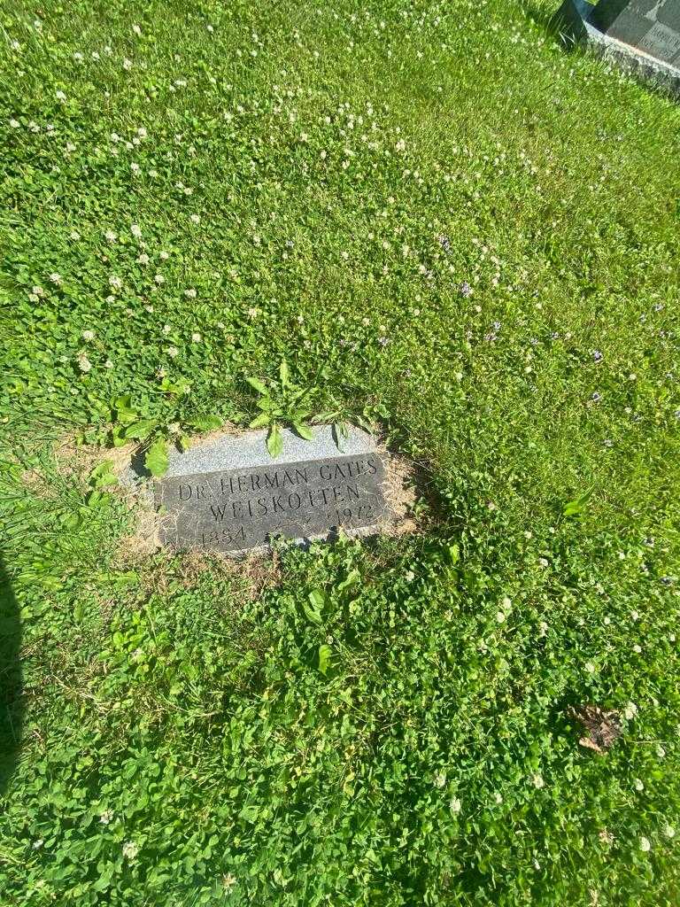 Doctor Herman Gates Weiskotten's grave. Photo 1