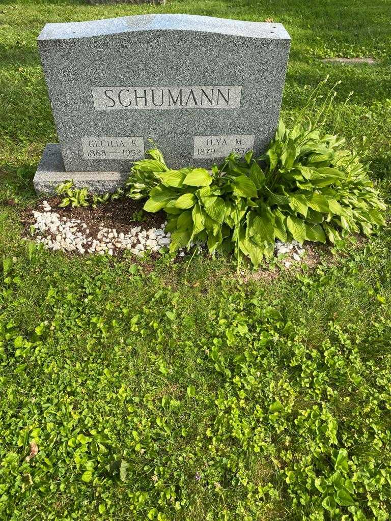 Cecilia K. Schumann's grave. Photo 2