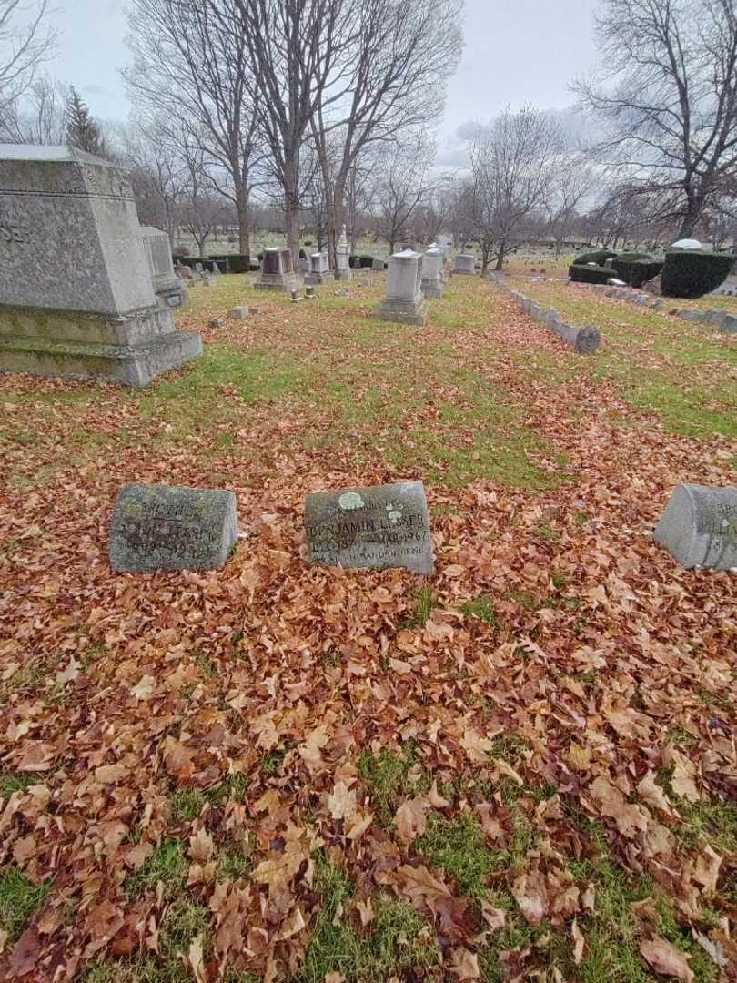 Benjamin Lesser's grave. Photo 1