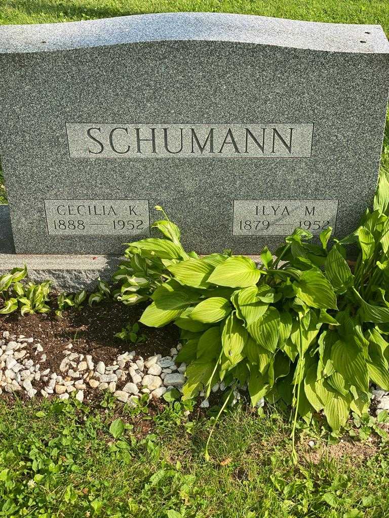 Cecilia K. Schumann's grave. Photo 3