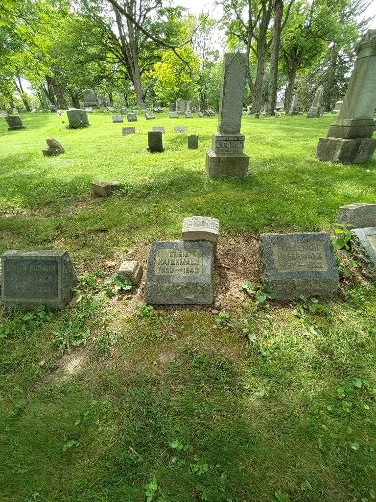 Elsie Hafermalz's grave. Photo 1