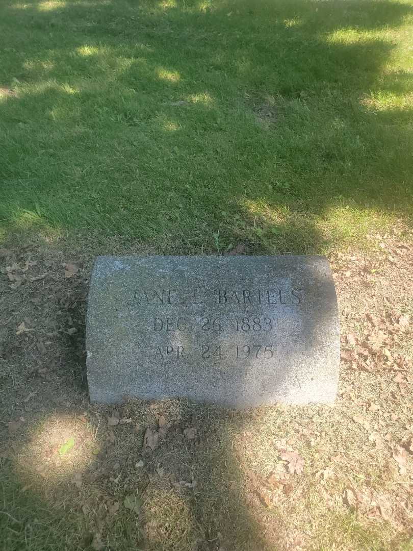 Jane Bartels Listman's grave. Photo 2