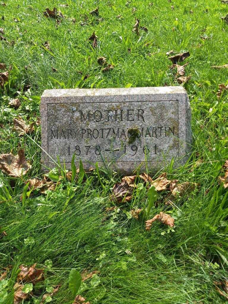 Mary Protzman Martin's grave. Photo 2