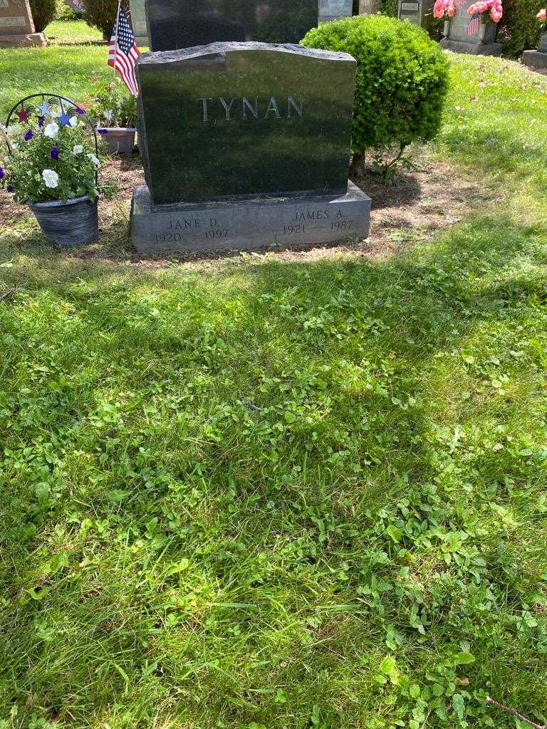 Jane D. Tynan's grave. Photo 2