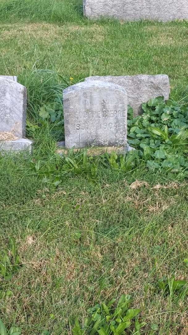 Theodore Bierre's grave. Photo 2