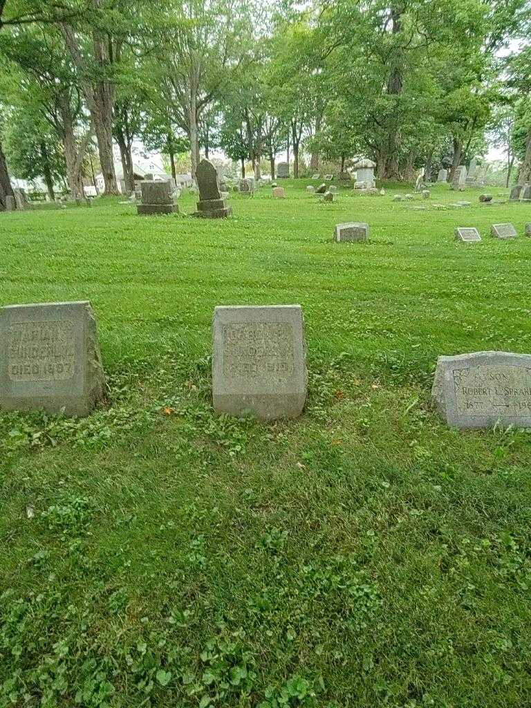 Orson B. Sunderlin's grave. Photo 1