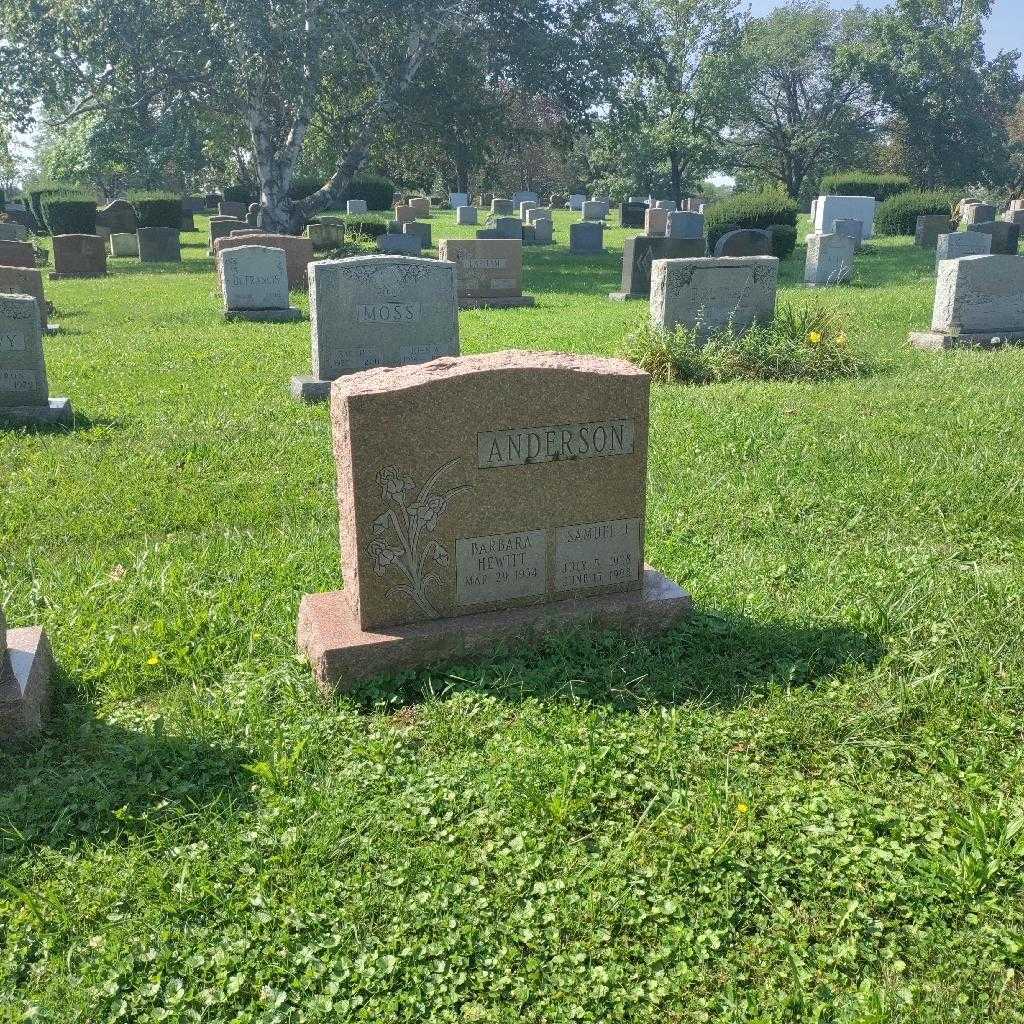 Samuel J. Anderson's grave. Photo 3