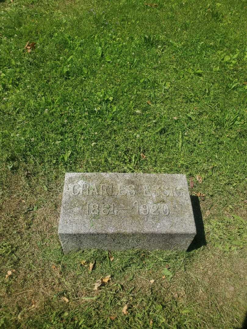 Charles Essig's grave. Photo 2