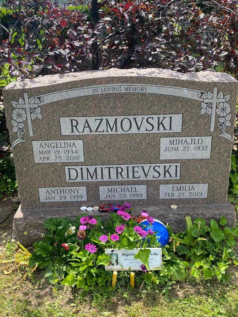 Emilia Dimitrievski's grave. Photo 3