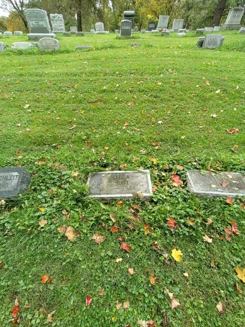 Willis A. Schleit's grave. Photo 1