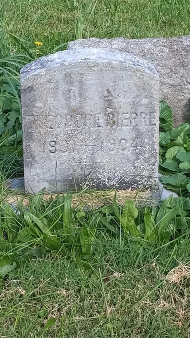 Theodore Bierre's grave. Photo 3