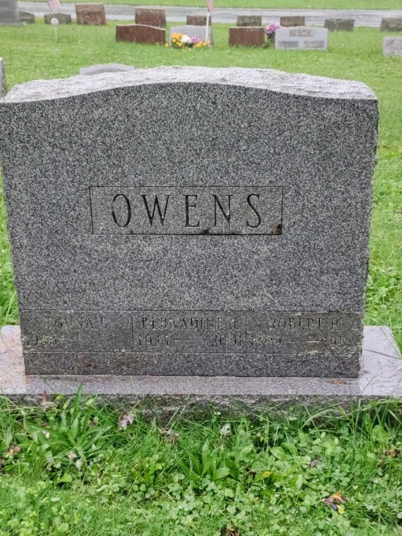Robert P. Owens's grave. Photo 3