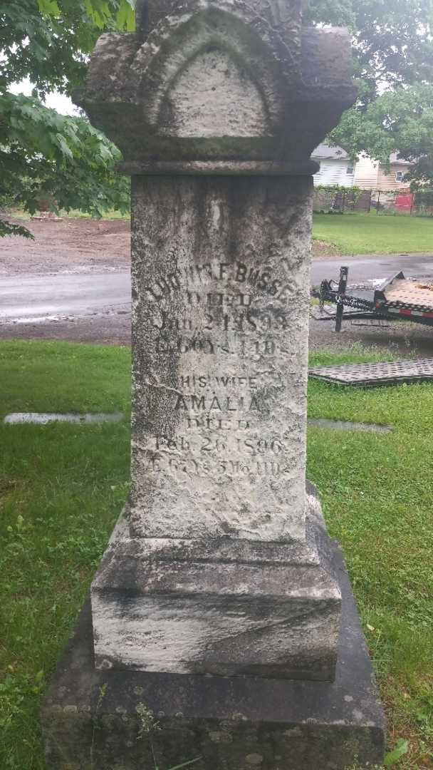 Amelia Busse's grave. Photo 2