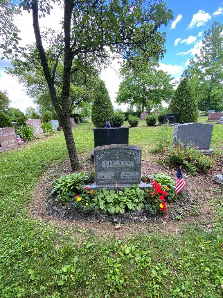 Elena Stojcev's grave. Photo 1