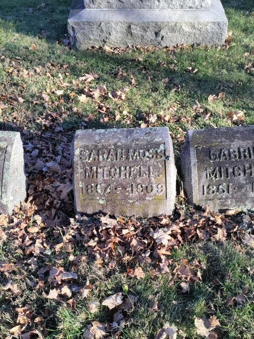 Sarah Moss Mitchell's grave. Photo 2