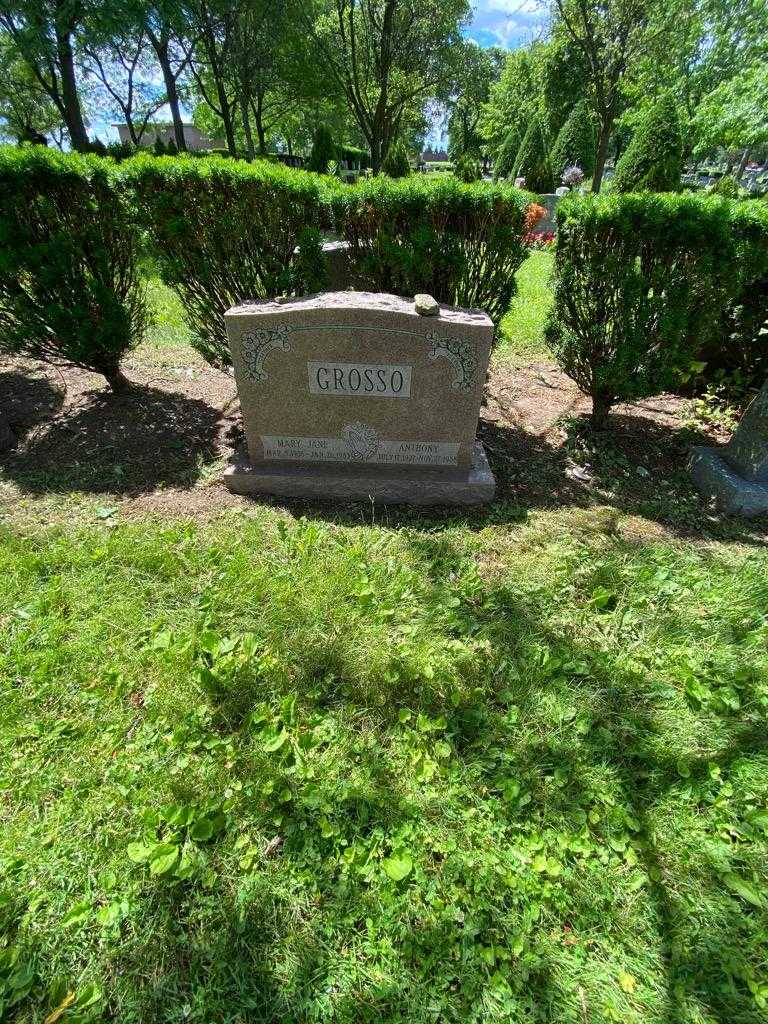 Anthony Grosso's grave. Photo 1
