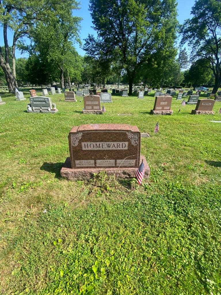 Harry Homeward's grave. Photo 1