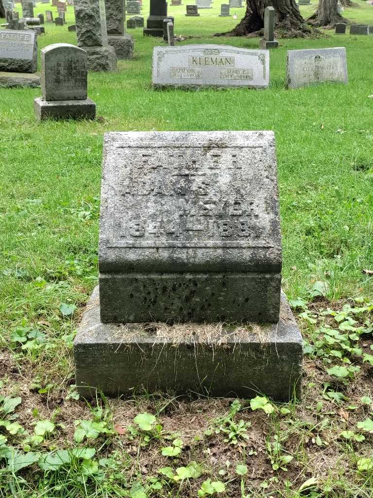 Adam S. Meyer's grave. Photo 2