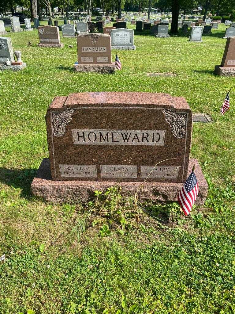 Harry Homeward's grave. Photo 2