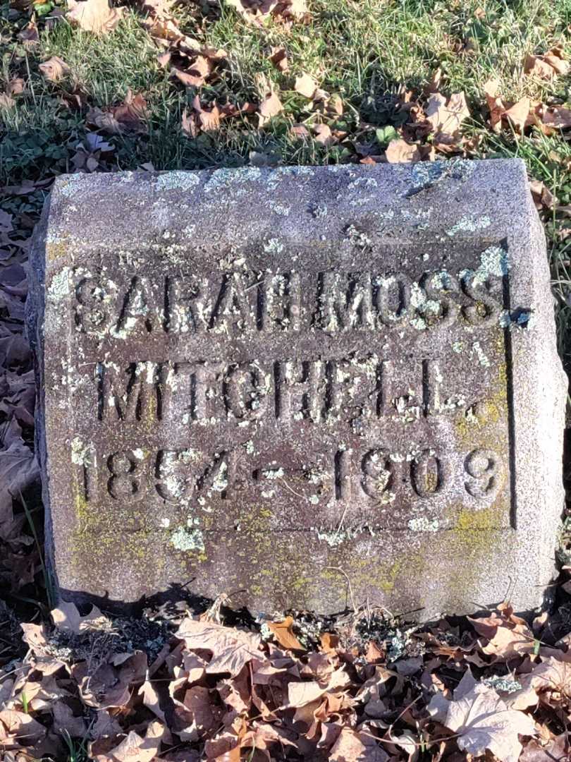 Sarah Moss Mitchell's grave. Photo 3