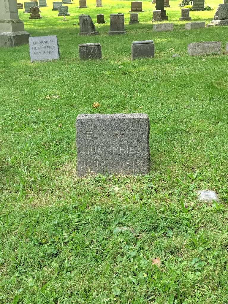 Elizabeth Humphries's grave. Photo 2