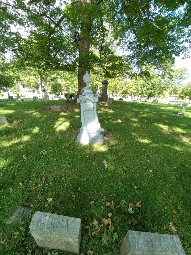 Stephen A. Phelps's grave. Photo 2