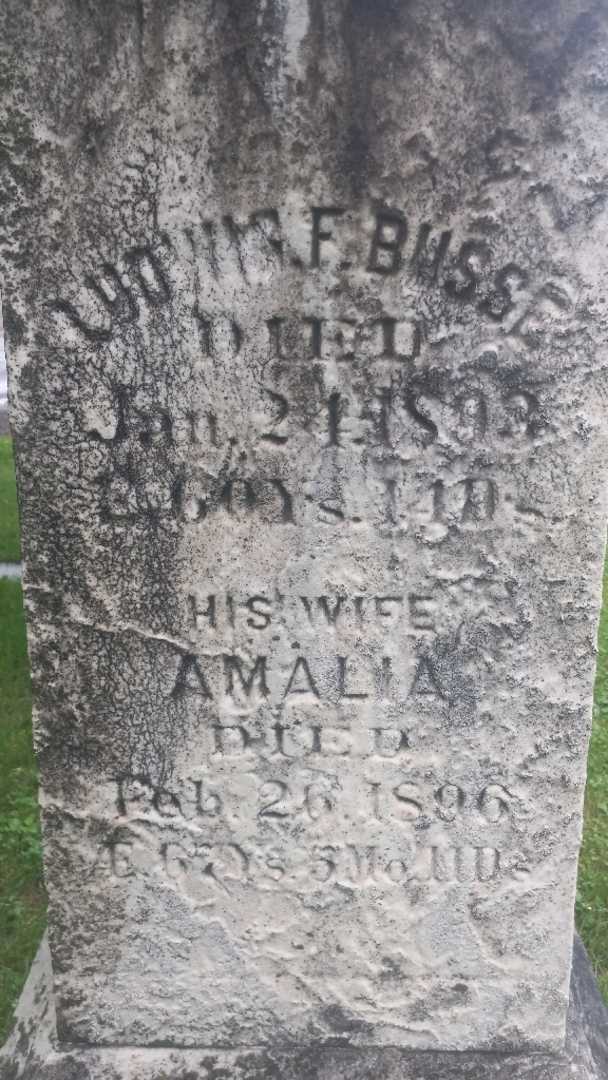 Amelia Busse's grave. Photo 3