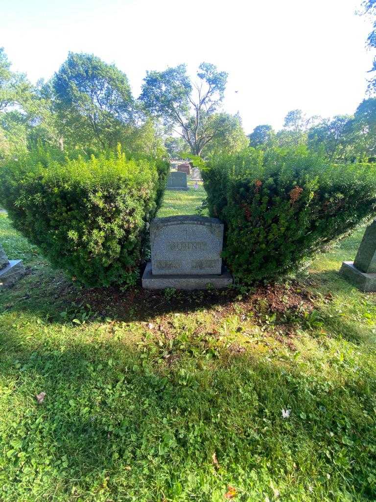 Hugo C. Dohne's grave. Photo 1